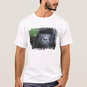 Zaire, Virungas National Park. Portrait of T-Shirt