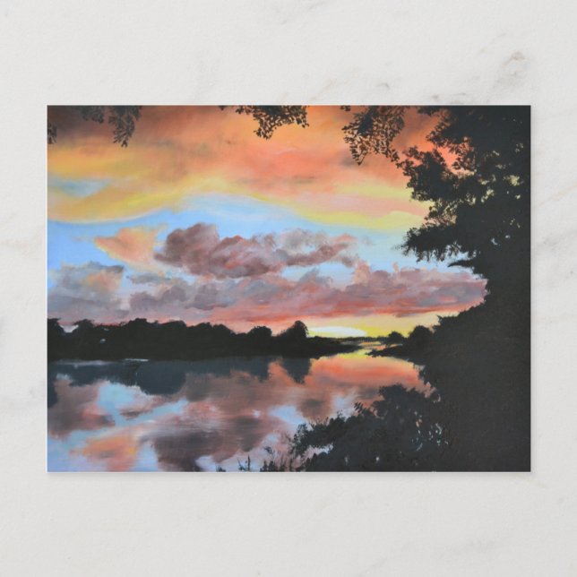 Zambezi River Reflections Postcard (Front)