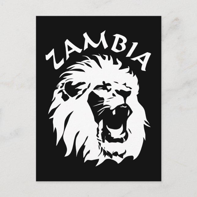 Zambia Lion Postcard (Front)