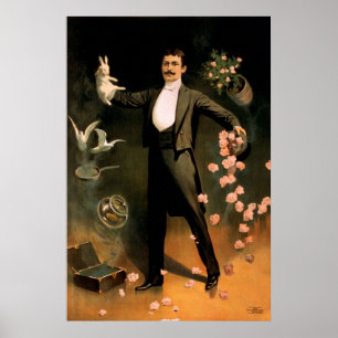 Zan Zig performing with rabbit and roses Poster