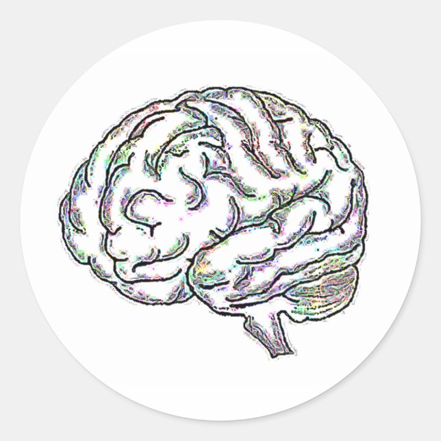 Zany Brainy Classic Round Sticker (Front)
