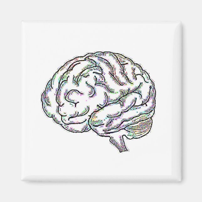 Zany Brainy Magnet (Front)