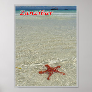 Zanzibar - Sea View - Starfish - Poster