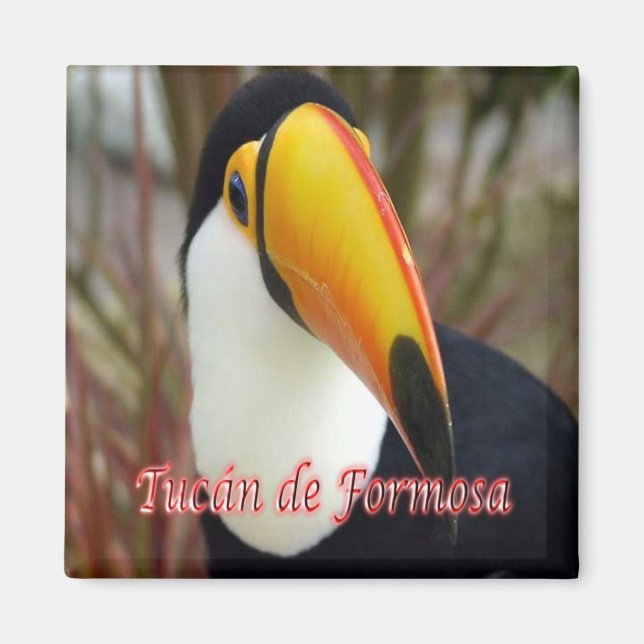 zAR019 ARGENTINA, Toucan Formosa, Fridge Magnet (Front)