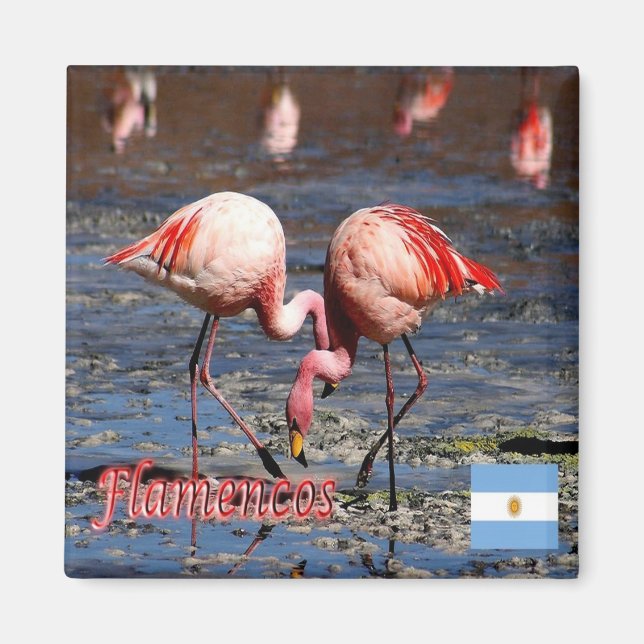 zAR033 ARGENTINA, Puna Flamingos, America, Fridge Magnet (Front)