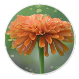 Zazzled Zinnia Ceramic Knob
