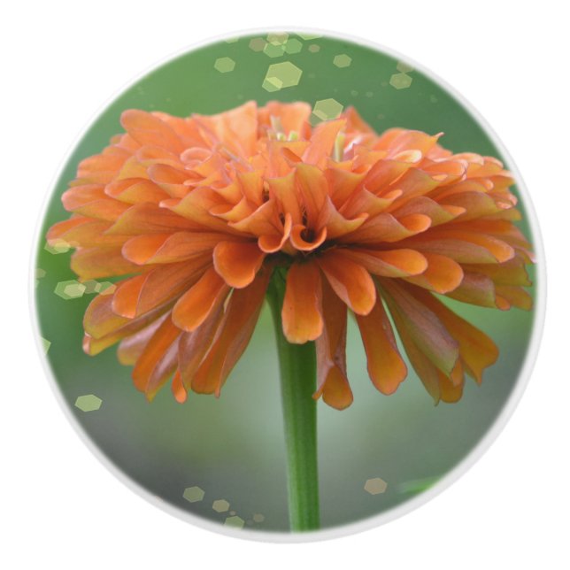 Zazzled Zinnia Ceramic Knob (Front)