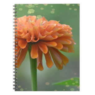 Zazzled Zinnia Notebook