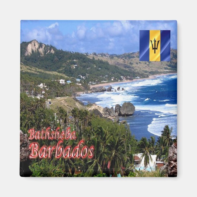 zBB006 BATHSHEBA, Barbados, Aerial view, Fridge Magnet (Front)