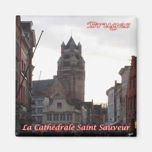 zBE050 BRUGES Cathedral Saint-Sauveur, Fridge Magnet