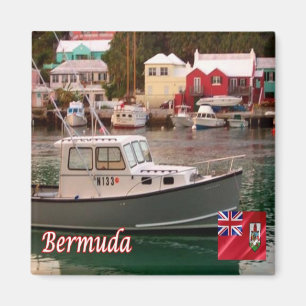 zBM008 BERMUDA, Flatts Village, Panorama, Fridge Magnet