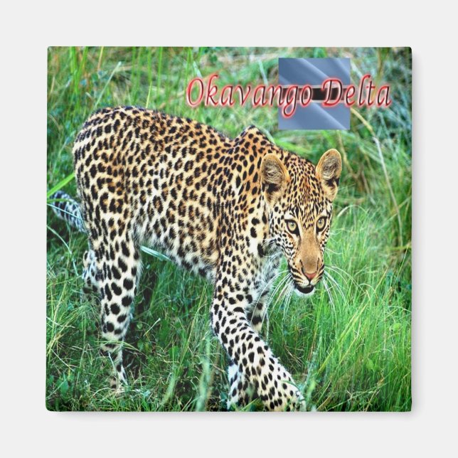 zBW007 OKAVANGO Delta, Ghepard BOTSWANA, Fridge Magnet (Front)