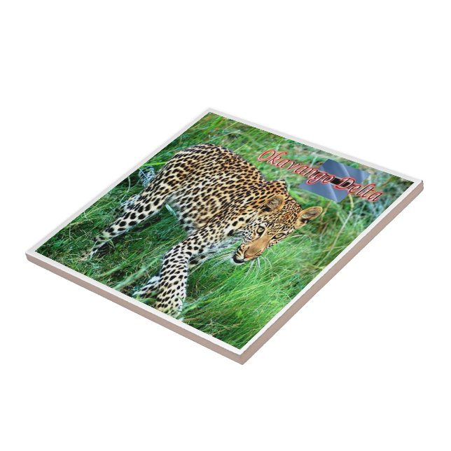 zBW007 OKAVANGO Delta, Ghepard BOTSWANA, Tile (Side)