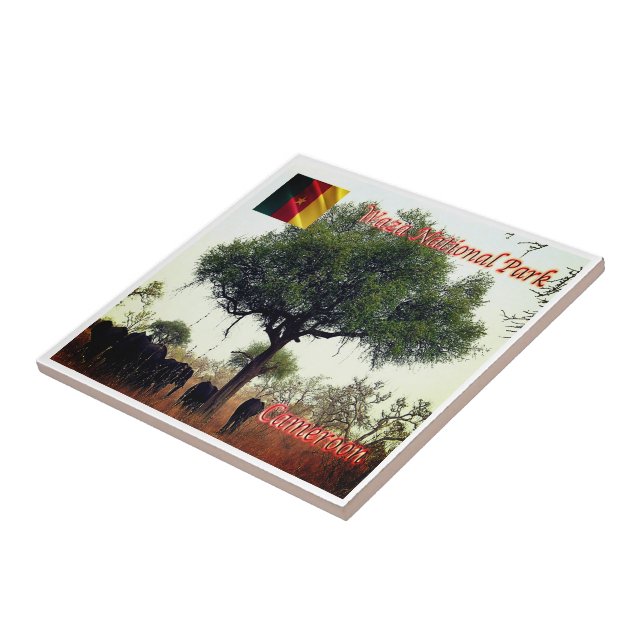 zCM007 WASA N.P. Camerron, Africa, Tile (Side)