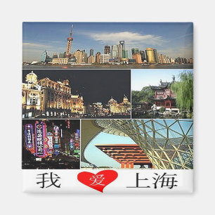 zCN024 SHANGHAI , China PRC, Souvenir, Fridge Magnet