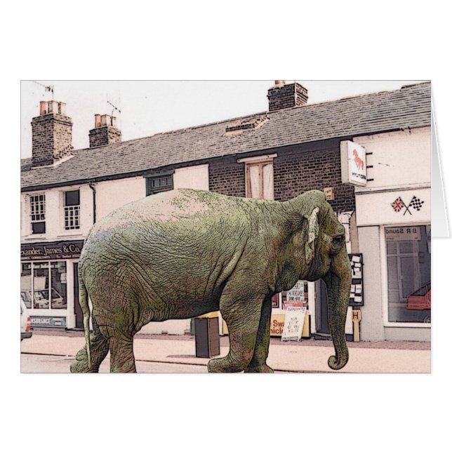 ze elefan (Front Horizontal)