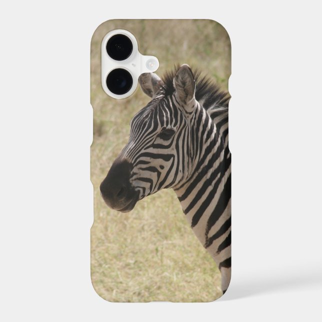 zebra (Back)