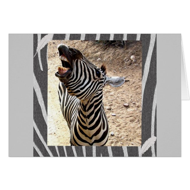 Zebra (Front Horizontal)