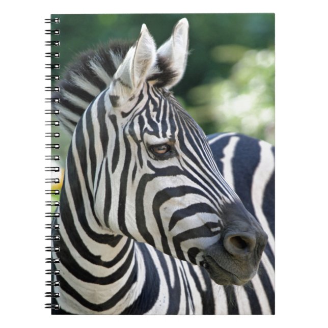 Zebra 001 spiral notebook (Front)