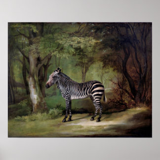 Zebra (1763) poster