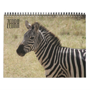 zebra 2025 calendar