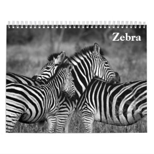 zebra 2026 calendar
