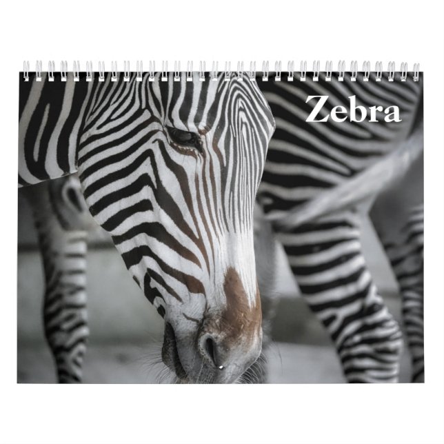 Zebra 2027 calendar (Cover)