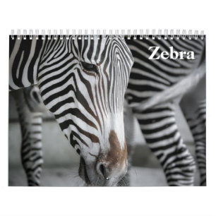 Zebra 2027 calendar
