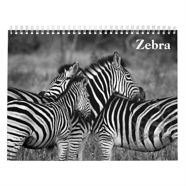 zebra 2027 calendar (Cover)