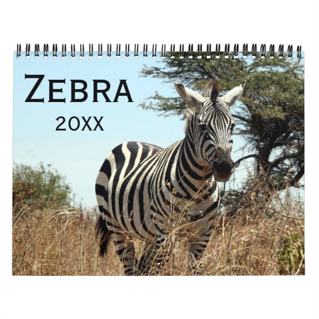 zebra 2027 calendar (Cover)