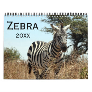 zebra 2027 calendar