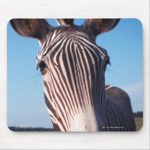 zebra 2 mouse pad