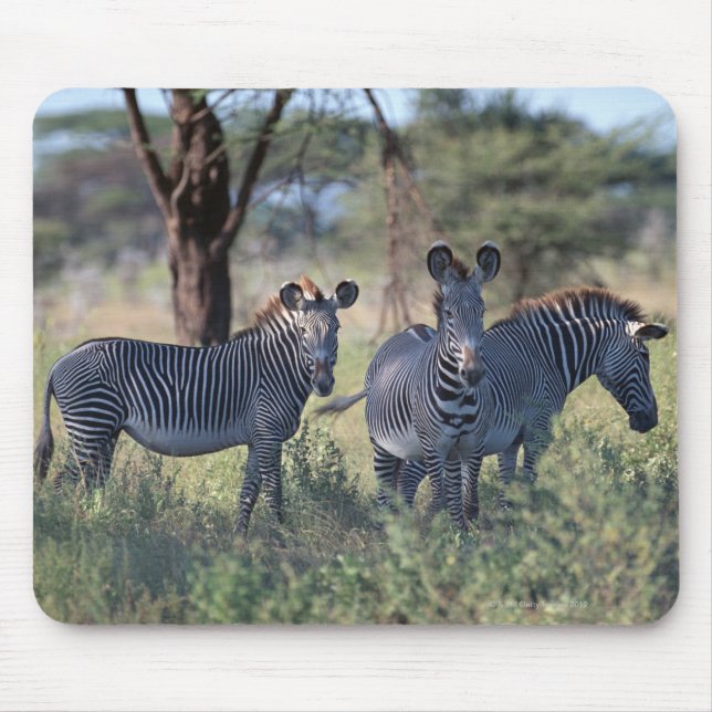 Zebra 2 mouse pad (Front)