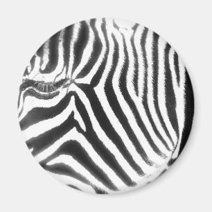 Zebra Abstract Magnet