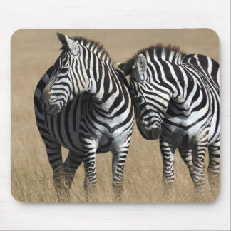"Zebra Affection" Mouse Pad