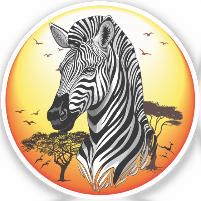 Zebra African Savanna Wild Animal (Front)