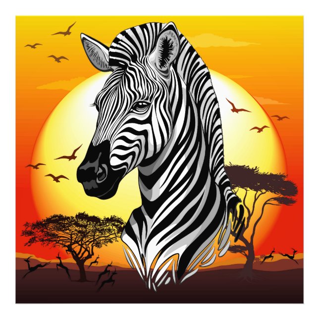 Zebra African Savanna Wild Animal Photo Print (Front)