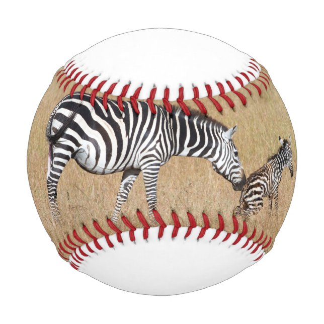 Zebra after giving birth baseball (Front)