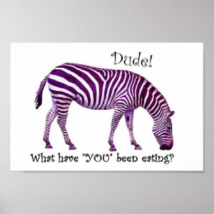 Zebra again.... poster