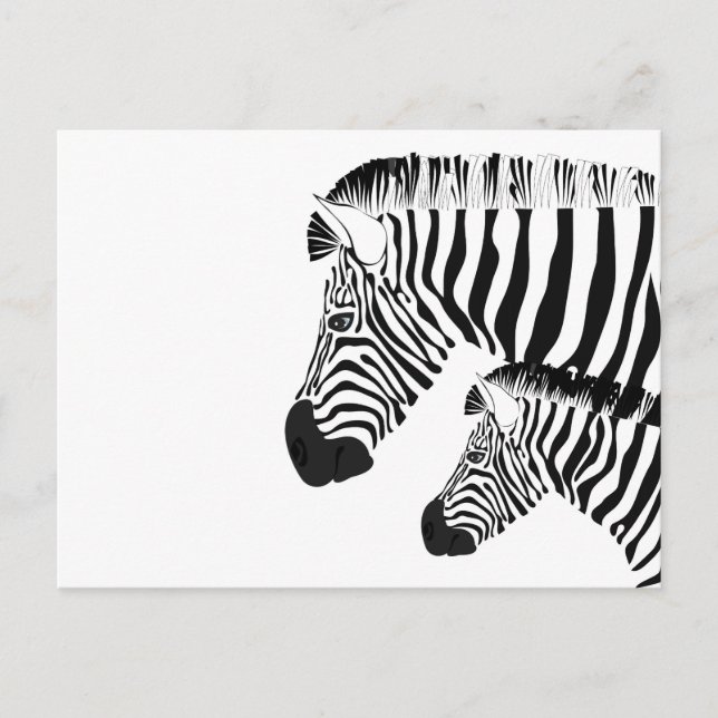 Zebra and baby postcard (Front)
