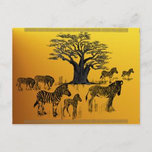 Zebra and Baobab Tree Postcard