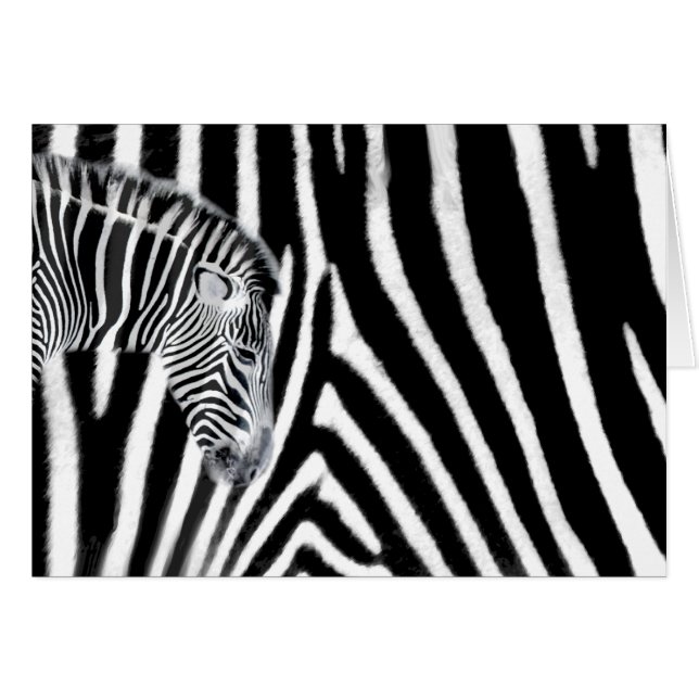 Zebra and it's stripe (Front Horizontal)