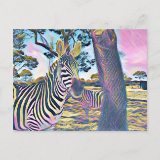 Zebra animal beautiful colour postcard