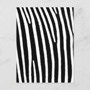 Zebra animal print postcard