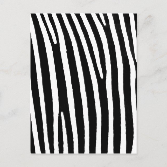 Zebra animal print postcard (Front)