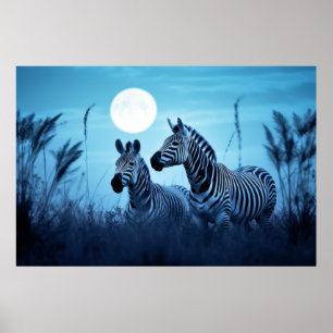 Zebra Animal Wildlife Wilderness Colourful Wall Ar Poster