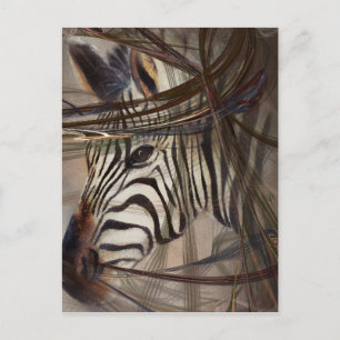 Zebra animals,wildlife,wildlife art,nature gifts postcard