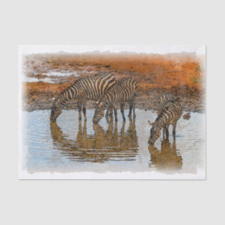Zebra Artwork Decoupage Tissue Paper