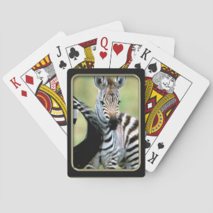 Zebra Baby Photo Art Playing Cards