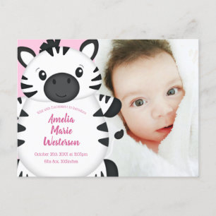 Zebra Baby Shower Safari Pink Girl Postcard